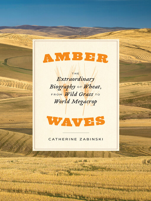 Title details for Amber Waves: the Extraordinary Biography of Wheat, from Wild Grass to World Megacrop by Catherine Zabinski - Available